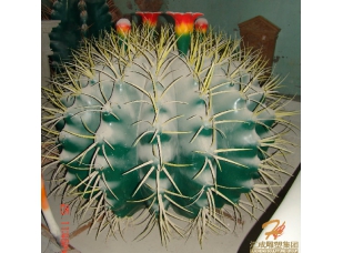 玻璃鋼